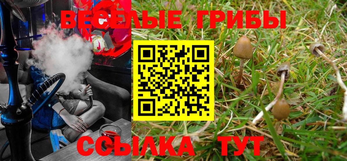 Ипатово  Галлюциногенные грибы Cubensis  Псилоцибиновые грибы Magic Shrooms  Вход с VPN 